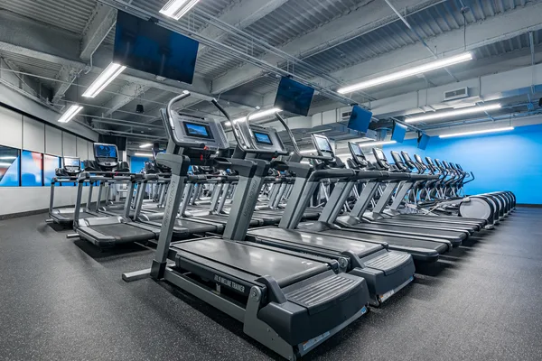 Weight machines lined across the club floor