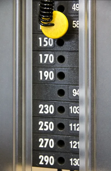 Bench press stations under even gym lighting